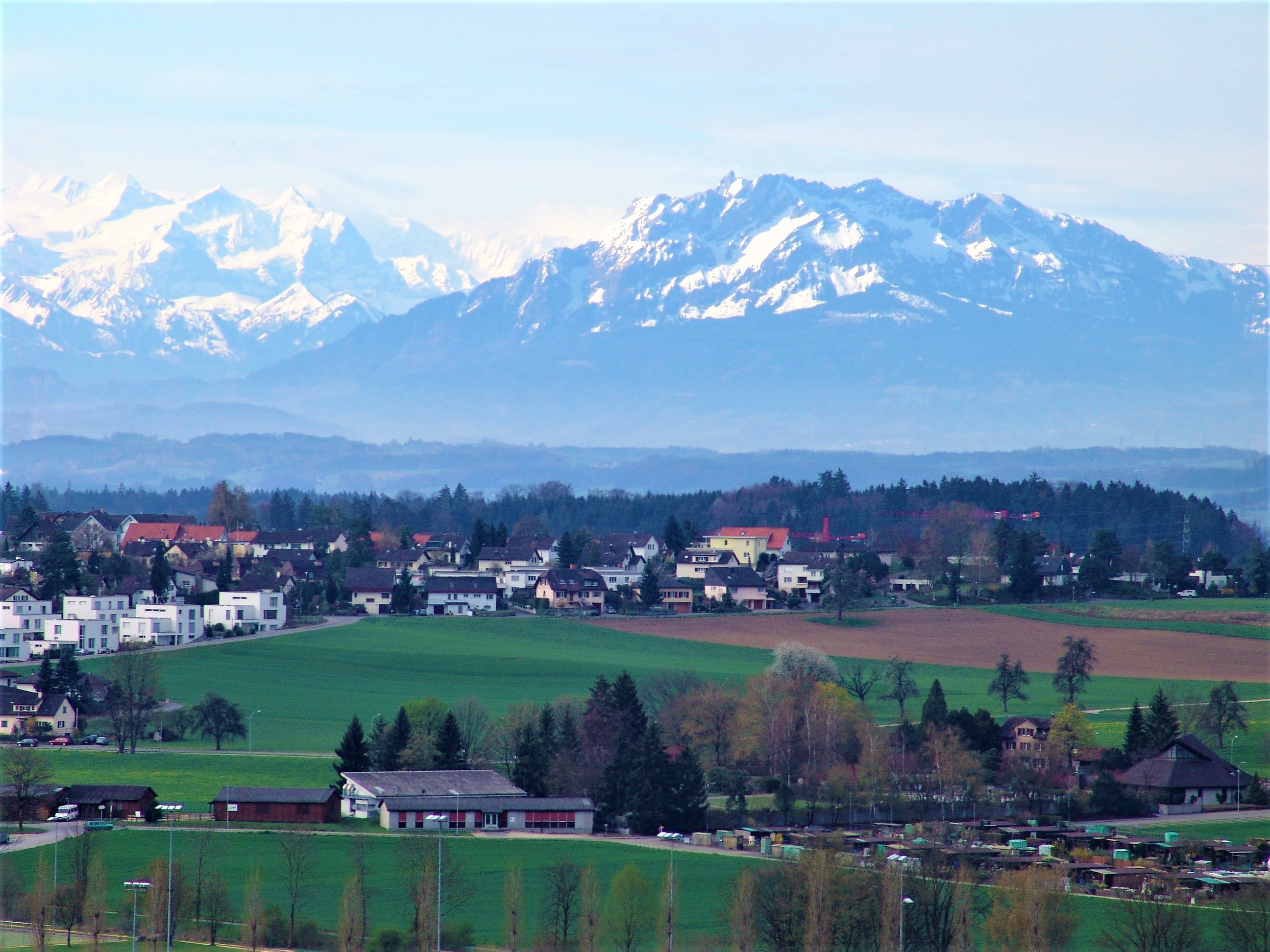 Affoltern am Albis | Zürich, Kanton | Schweiz | Matricula Online